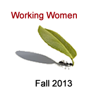 Working Women banner