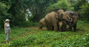 Author with elephants