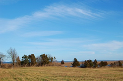 Fort Hill, Eastham. Photograph by Claudia Robinson 