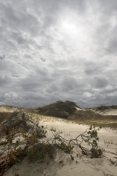 Sands, Stephanie Foster Published courtesy of CCMOA 