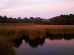 Herring River