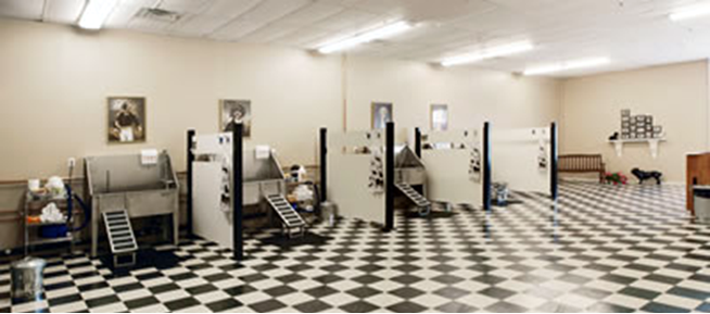 View of dog washing tubs at A Grateful Dog